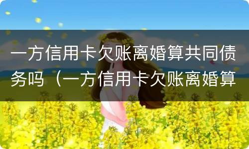 一方信用卡欠账离婚算共同债务吗（一方信用卡欠账离婚算共同债务吗）