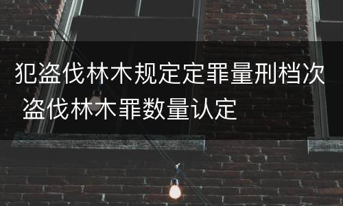 发行权及发表权主要不同之处有何 发行权及发表权主要不同之处有何区别