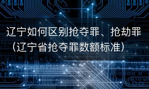 辽宁如何区别抢夺罪、抢劫罪（辽宁省抢夺罪数额标准）