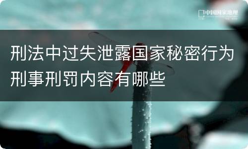 刑法中过失泄露国家秘密行为刑事刑罚内容有哪些