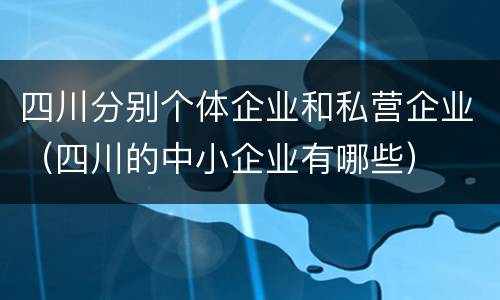 四川分别个体企业和私营企业（四川的中小企业有哪些）