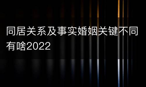 同居关系及事实婚姻关键不同有啥2022