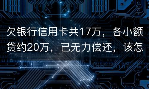 欠银行信用卡共17万，各小额贷约20万，已无力偿还，该怎么办