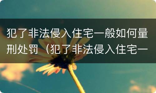 犯了非法侵入住宅一般如何量刑处罚（犯了非法侵入住宅一般如何量刑处罚标准）