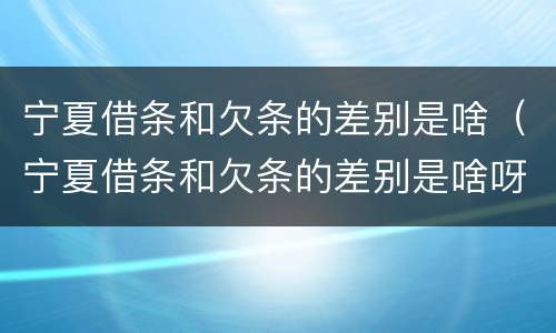 宁夏借条和欠条的差别是啥（宁夏借条和欠条的差别是啥呀）