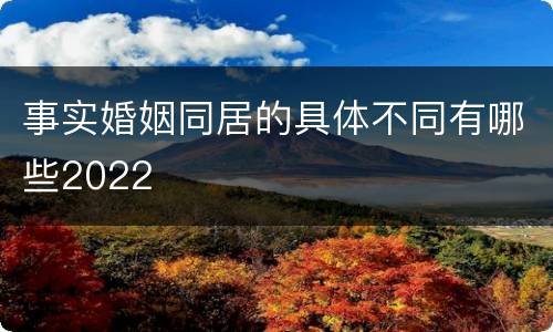 事实婚姻同居的具体不同有哪些2022