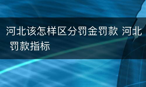 河北该怎样区分罚金罚款 河北 罚款指标