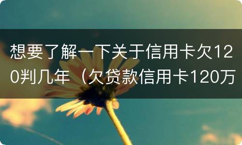 想要了解一下关于信用卡欠120判几年（欠贷款信用卡120万全逾期）