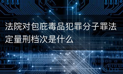 法院对包庇毒品犯罪分子罪法定量刑档次是什么