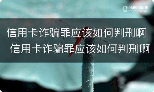 信用卡诈骗罪应该如何判刑啊 信用卡诈骗罪应该如何判刑啊判多久