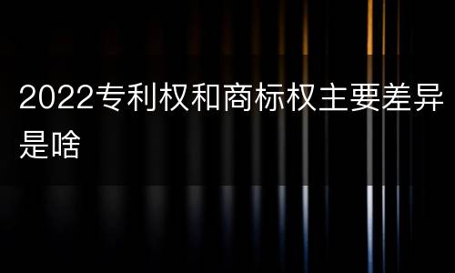 2022专利权和商标权主要差异是啥