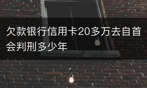 欠款银行信用卡20多万去自首会判刑多少年