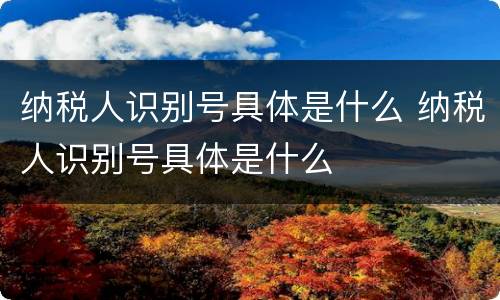 纳税人识别号具体是什么 纳税人识别号具体是什么