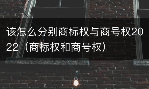 该怎么分别商标权与商号权2022（商标权和商号权）