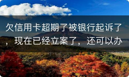 欠信用卡超期了被银行起诉了，现在已经立案了，还可以办分期还款吗