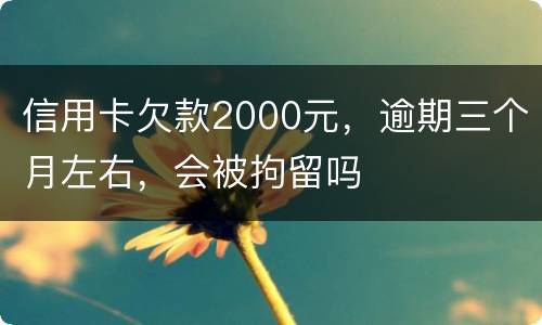 信用卡欠款2000元，逾期三个月左右，会被拘留吗