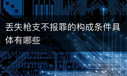 丢失枪支不报罪的构成条件具体有哪些