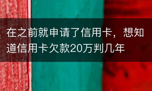 在之前就申请了信用卡，想知道信用卡欠款20万判几年