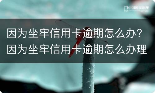 因为坐牢信用卡逾期怎么办? 因为坐牢信用卡逾期怎么办理