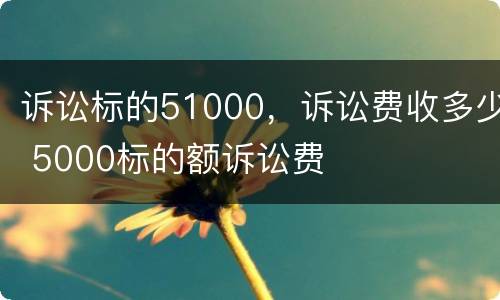 诉讼标的51000，诉讼费收多少 5000标的额诉讼费