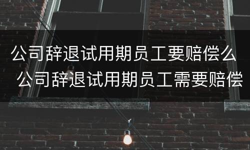 公司辞退试用期员工要赔偿么 公司辞退试用期员工需要赔偿吗