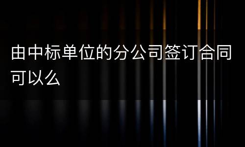 由中标单位的分公司签订合同可以么