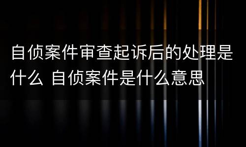 自侦案件审查起诉后的处理是什么 自侦案件是什么意思