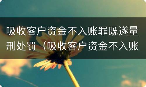 吸收客户资金不入账罪既遂量刑处罚（吸收客户资金不入账罪既遂量刑处罚标准）