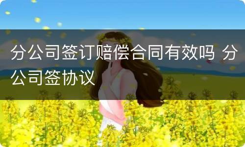 分公司签订赔偿合同有效吗 分公司签协议