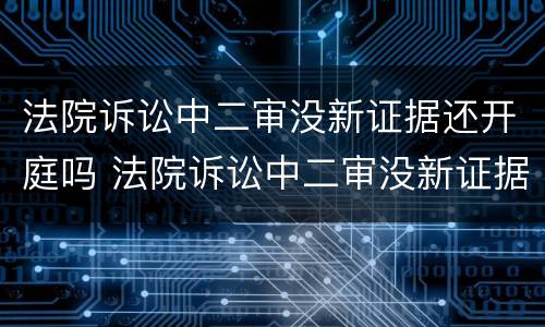 法院诉讼中二审没新证据还开庭吗 法院诉讼中二审没新证据还开庭吗为什么