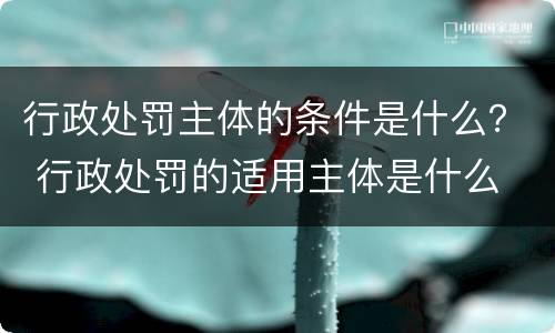 行政处罚主体的条件是什么？ 行政处罚的适用主体是什么