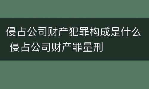 侵占公司财产犯罪构成是什么 侵占公司财产罪量刑