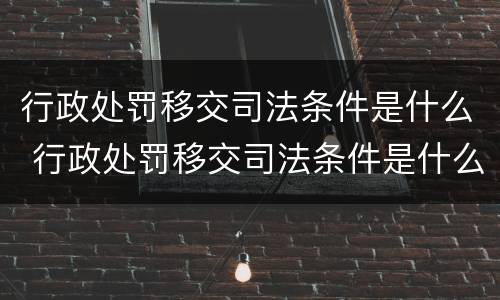 行政处罚移交司法条件是什么 行政处罚移交司法条件是什么意思