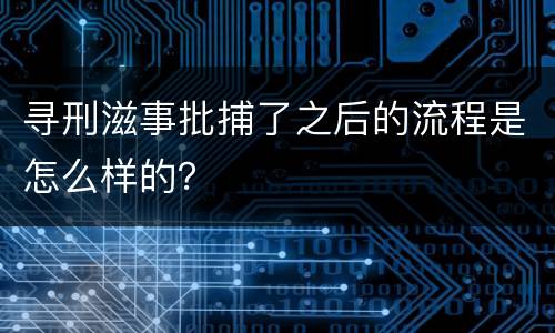 寻刑滋事批捕了之后的流程是怎么样的？