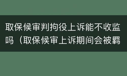 取保候审判拘役上诉能不收监吗（取保候审上诉期间会被羁押吗）