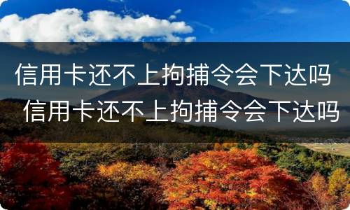 信用卡还不上拘捕令会下达吗 信用卡还不上拘捕令会下达吗