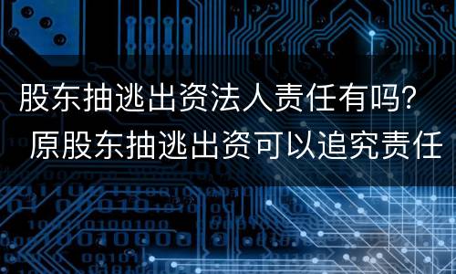 股东抽逃出资法人责任有吗？ 原股东抽逃出资可以追究责任吗