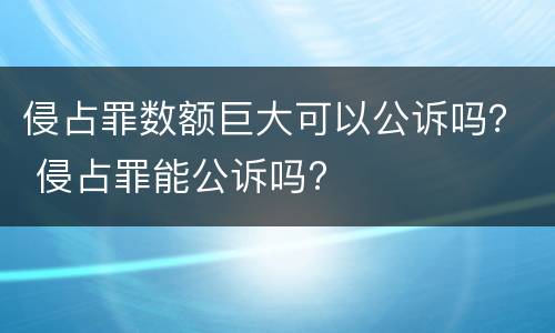 侵占罪数额巨大可以公诉吗？ 侵占罪能公诉吗?