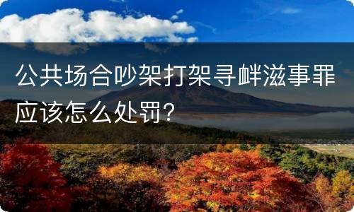 公共场合吵架打架寻衅滋事罪应该怎么处罚？