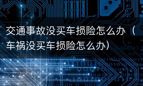 交通事故没买车损险怎么办（车祸没买车损险怎么办）