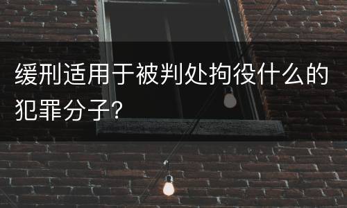 缓刑适用于被判处拘役什么的犯罪分子？