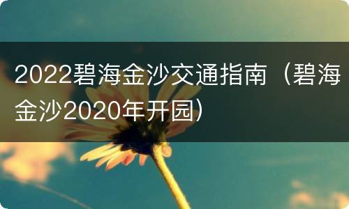 2022碧海金沙交通指南（碧海金沙2020年开园）