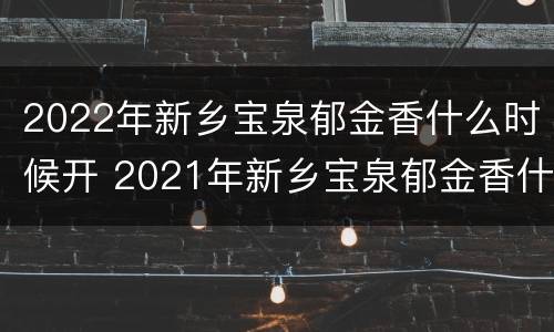 2022年新乡宝泉郁金香什么时候开 2021年新乡宝泉郁金香什么时候开