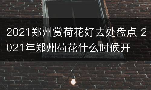 2021郑州赏荷花好去处盘点 2021年郑州荷花什么时候开