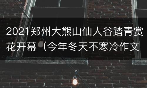 2021郑州大熊山仙人谷踏青赏花开幕（今年冬天不寒冷作文）