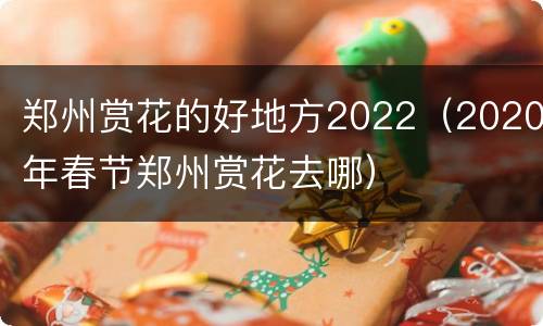 郑州赏花的好地方2022（2020年春节郑州赏花去哪）