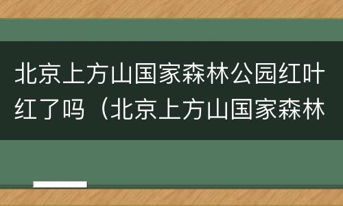 北京上方山国家森林公园红叶红了吗（北京上方山国家森林公园图片）