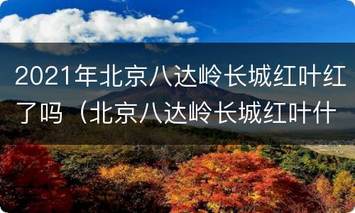 2021年北京八达岭长城红叶红了吗（北京八达岭长城红叶什么时候红）