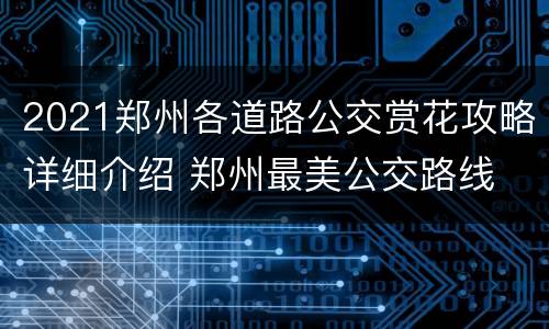 2021郑州各道路公交赏花攻略详细介绍 郑州最美公交路线