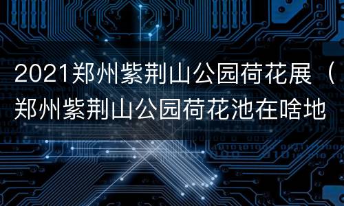 2021郑州紫荆山公园荷花展（郑州紫荆山公园荷花池在啥地方）